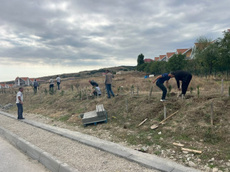 "27 sentyabr - Anım Günü" münasibətilə ağacəkmə aksiyası keçirilmişdir.
