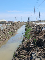 Şəhərsalma və Memarlıq İli çərçivəsində Xızı rayonu ərazisində ətraf mühitin mühafizəsi, və ictimai fəallığın artırılması məqsədilə iməclik təşkil olunmuşdur.