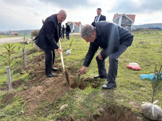 Xızı rayonunda "8 Noyabr-Zəfər Günü" ilə əlaqədar ağacəkmə aksiyası keçirildi