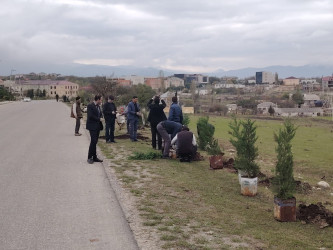 “Yaşıl dünya naminə həmrəylik ili” ilə əlaqədar ağacəkmə aksiyası davam edir.