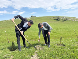 “Şəhərsalma və Memarlıq ili” elan edilməsi ilə bağlı təsdiq olunmuş “Tədbirlər Planı”na uyğun olaraq  rayon ərazisində növbəti ağacəkmə aksiyası keçirilmişdir.