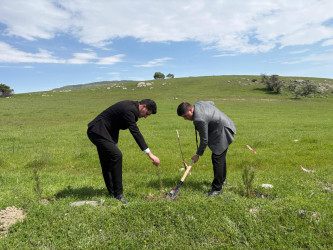 “Şəhərsalma və Memarlıq ili” elan edilməsi ilə bağlı təsdiq olunmuş “Tədbirlər Planı”na uyğun olaraq  rayon ərazisində növbəti ağacəkmə aksiyası keçirilmişdir.