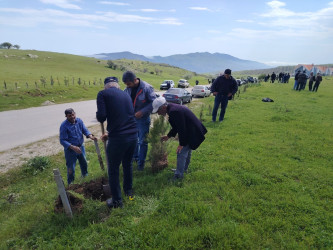 “Şəhərsalma və Memarlıq ili” elan edilməsi ilə bağlı təsdiq olunmuş “Tədbirlər Planı”na uyğun olaraq  rayon ərazisində növbəti ağacəkmə aksiyası keçirilmişdir.