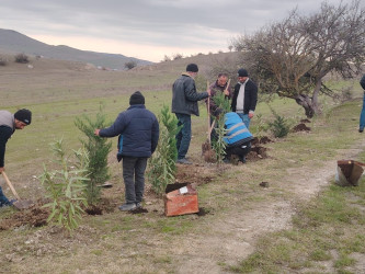 27.10.2024-cü il tarixində “Yaşıl dünya naminə həmrəylik ili” ilə əlaqədar ağacəkmə aksiyası davam etdirilib.