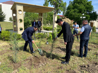 Ümummilli Lider Heydər Əliyevin anadan olmasının 101 illiyi münasibətilə Xızı rayonunda  ağacəkmə aksiyası keçirilmişdir.