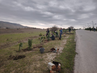 27.10.2024-cü il tarixində “Yaşıl dünya naminə həmrəylik ili” ilə əlaqədar ağacəkmə aksiyası davam etdirilib.