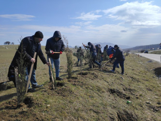 “Şəhərsalma və Memarlıq ili” elan edilməsi ilə bağlı təsdiq olunmuş “Tədbirlər Planı”na uyğun olaraq ağacəkmə aksiyası keçirilmişdir.