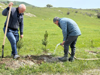 “Şəhərsalma və Memarlıq ili” elan edilməsi ilə bağlı təsdiq olunmuş “Tədbirlər Planı”na uyğun olaraq  rayon ərazisində növbəti ağacəkmə aksiyası keçirilmişdir.