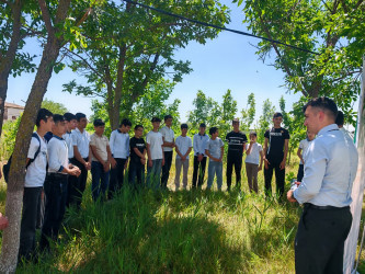 “Narkotik vasitələrin sui-istifadəsi və qanunsuz dövriyyəsi ilə Beynəlxalq Mübarizə Günü" ilə əlaqədar maarifləndirici görüş keçirilib.