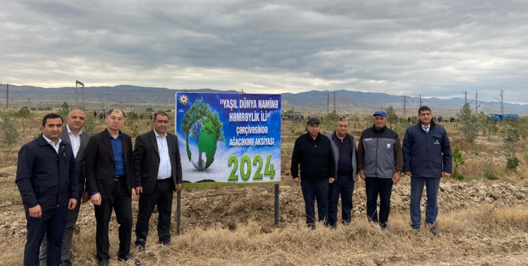 “Yaşıl dünya naminə həmrəylik ili” ilə əlaqədar ağacəkmə aksiyası davam edir.