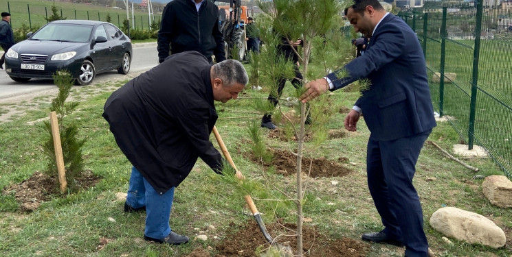 “Konstitusiya və Suverenlik ili” elan edilməsi ilə bağlı təsdiq olunmuş “Tədbirlər Planı”na uyğun olaraq ağacəkmə aksiyası keçirilmişdir.