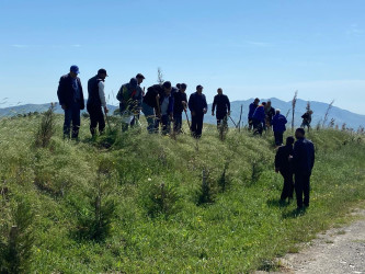 “Konstitusiya və Suverenlik ili” elan edilməsi ilə bağlı təsdiq olunmuş “Tədbirlər Planı”na uyğun olaraq ağacəkmə kampaniyası keçirilmişdir.