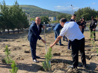 Xızı rayonunda “Yaşıl dünya naminə həmrəylik ili” çərçivəsində “27 sentyabr – Anım Günü” münasibətilə  ağacəkmə aksiyası keçirilmişdir