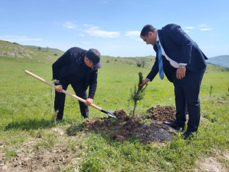 “Şəhərsalma və Memarlıq ili” elan edilməsi ilə bağlı təsdiq olunmuş “Tədbirlər Planı”na uyğun olaraq  rayon ərazisində növbəti ağacəkmə aksiyası keçirilmişdir.