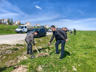 “Şəhərsalma və Memarlıq ili” elan edilməsi ilə bağlı təsdiq olunmuş “Tədbirlər Planı”na uyğun olaraq  rayon ərazisində növbəti ağacəkmə aksiyası keçirilmişdir.