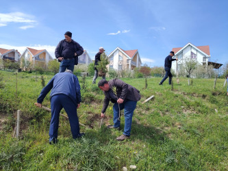 “Şəhərsalma və Memarlıq ili” elan edilməsi ilə bağlı təsdiq olunmuş “Tədbirlər Planı”na uyğun olaraq  rayon ərazisində növbəti ağacəkmə aksiyası keçirilmişdir.