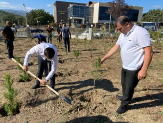 Xızı rayonunda “Yaşıl dünya naminə həmrəylik ili” çərçivəsində “27 sentyabr – Anım Günü” münasibətilə  ağacəkmə aksiyası keçirilmişdir