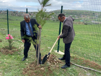 “Konstitusiya və Suverenlik ili” elan edilməsi ilə bağlı təsdiq olunmuş “Tədbirlər Planı”na uyğun olaraq ağacəkmə aksiyası keçirilmişdir.