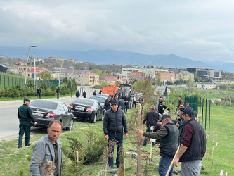 “Konstitusiya və Suverenlik ili” elan edilməsi ilə bağlı təsdiq olunmuş “Tədbirlər Planı”na uyğun olaraq ağacəkmə aksiyası keçirilmişdir.