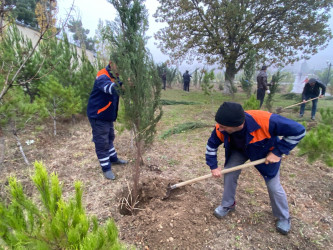 26.10.2024-cü il tarixində “Yaşıl dünya naminə həmrəylik ili” ilə əlaqədar ağacəkmə aksiyası davam etdirilib